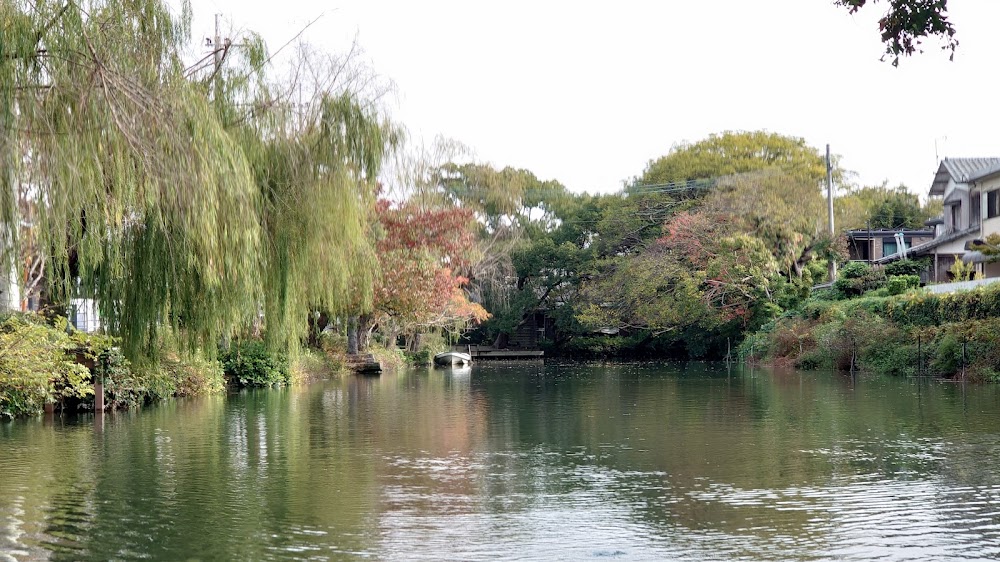 Yanagawa River Cruises photo 2