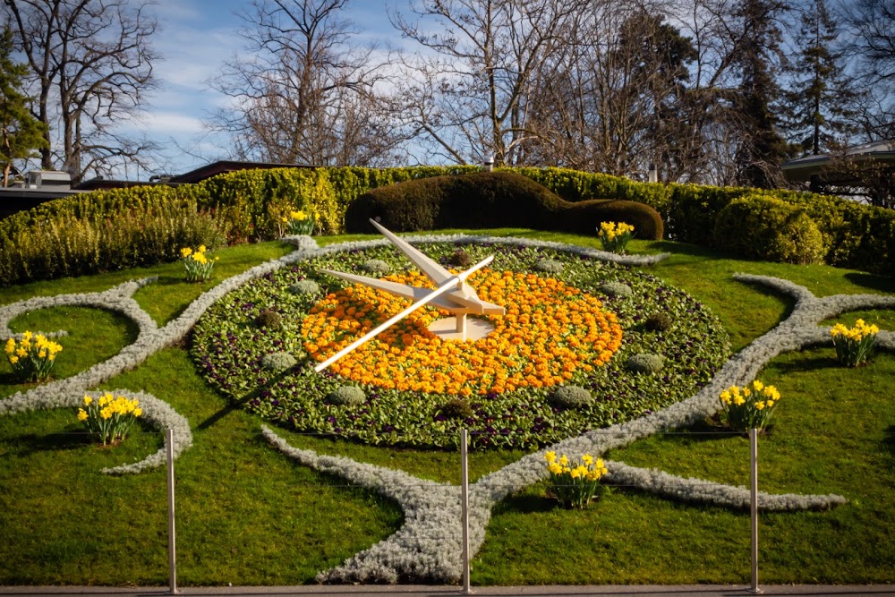 Flower Clock photo 2