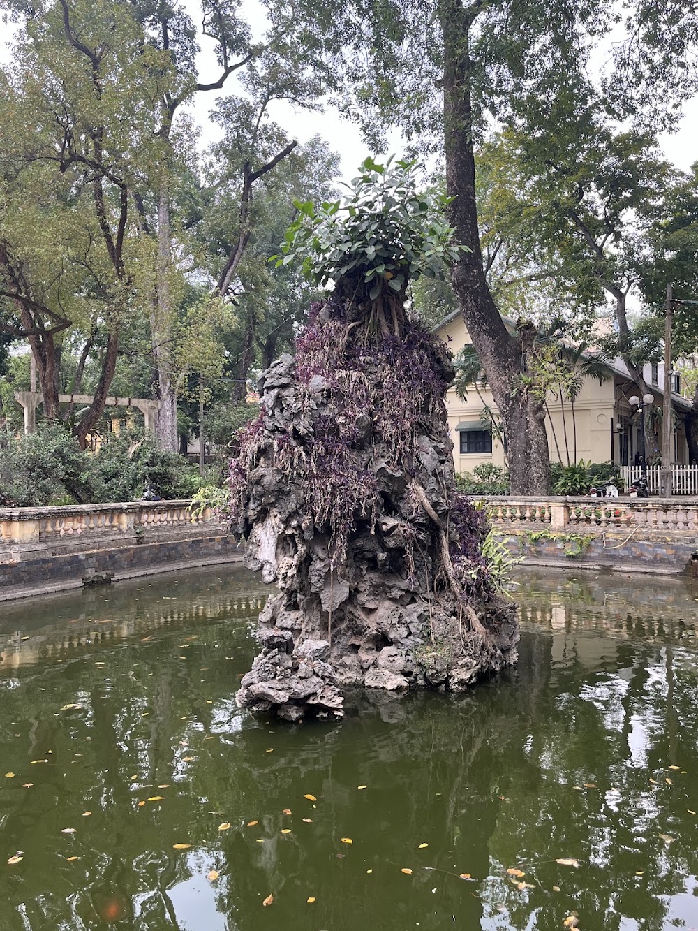 Hanoi Botanical Garden photo 3
