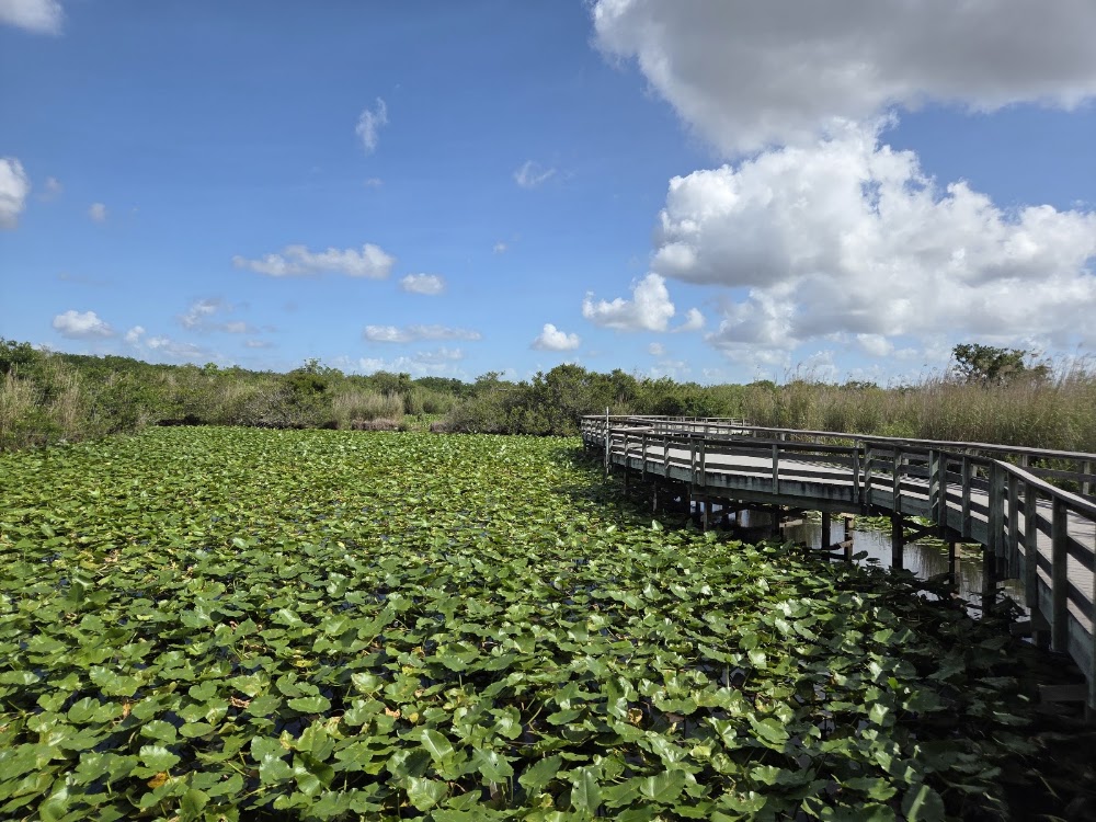 Everglades National Park photo 2