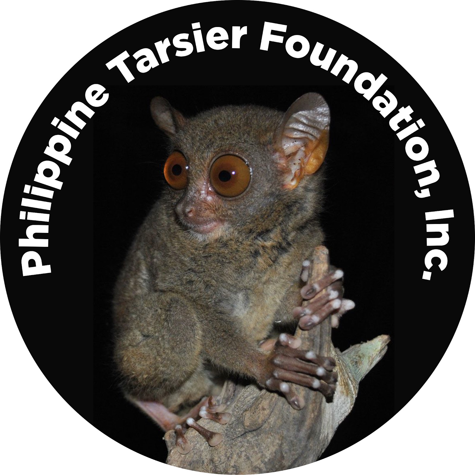 Philippine Tarsier Sanctuary