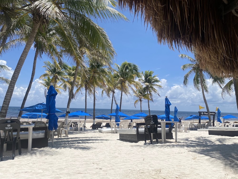 Playa Paraíso photo 3