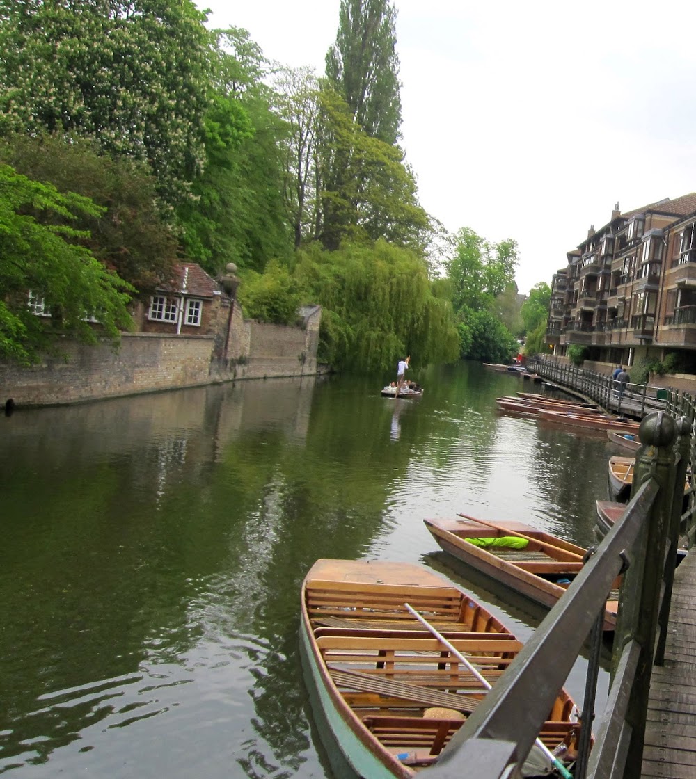 River Cam photo 3