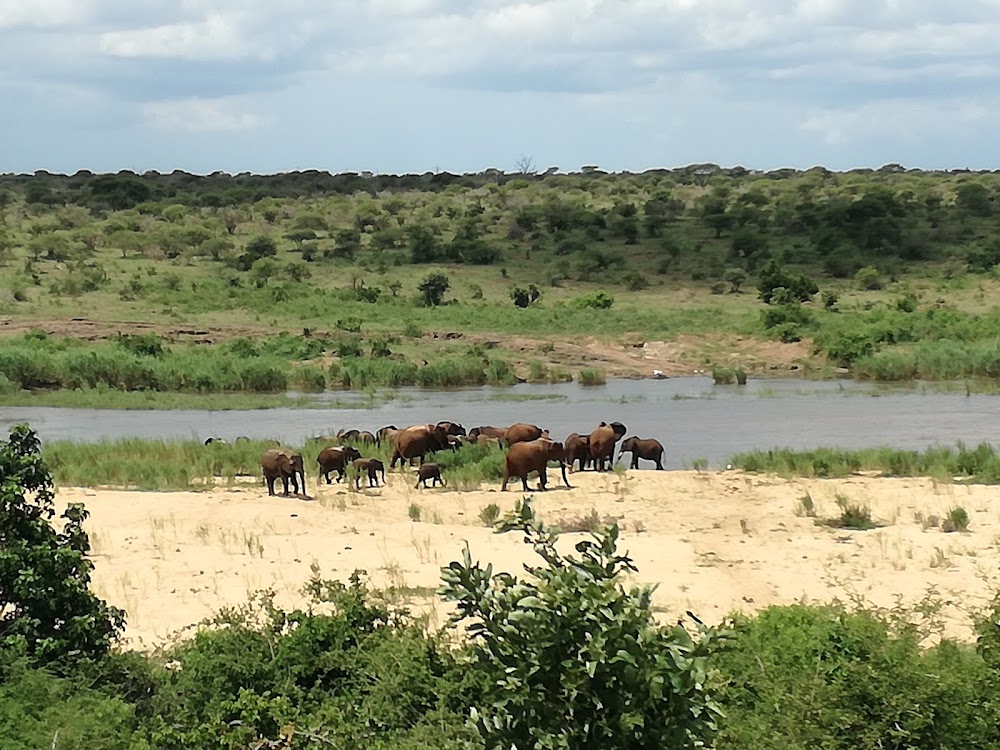 Sabie River photo 2