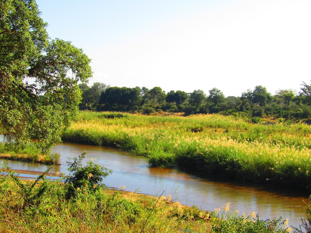 Sabie River photo 3