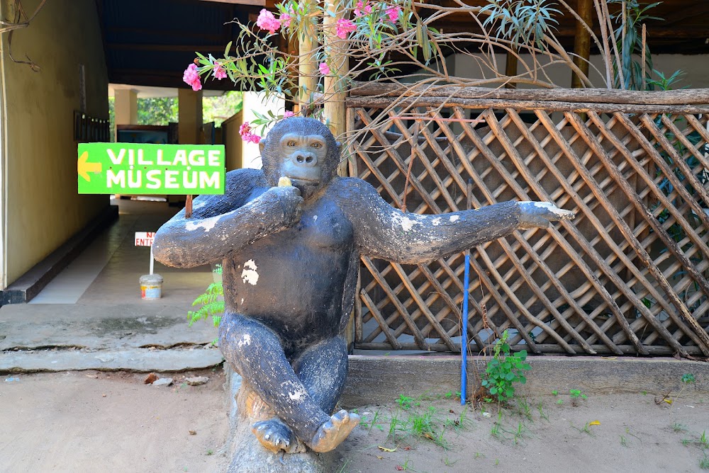 Makumbusho Village Museum photo 3