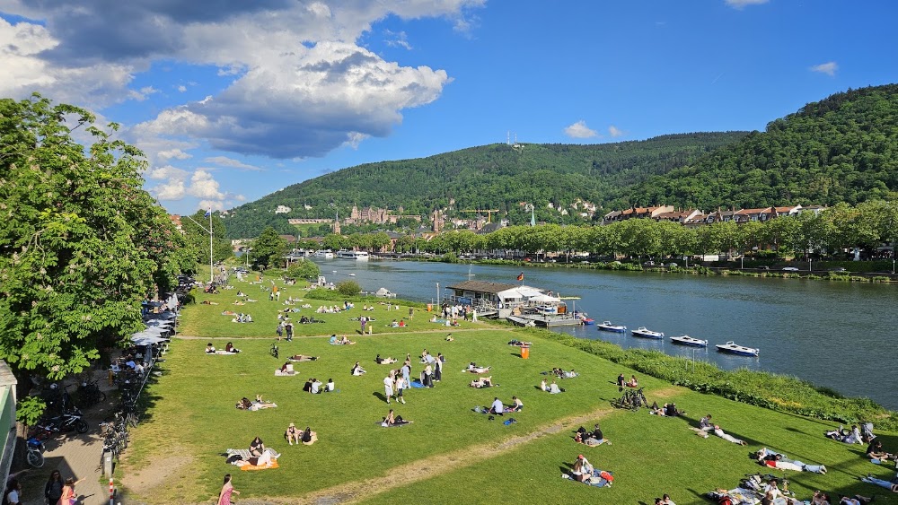 Neckarwiese
