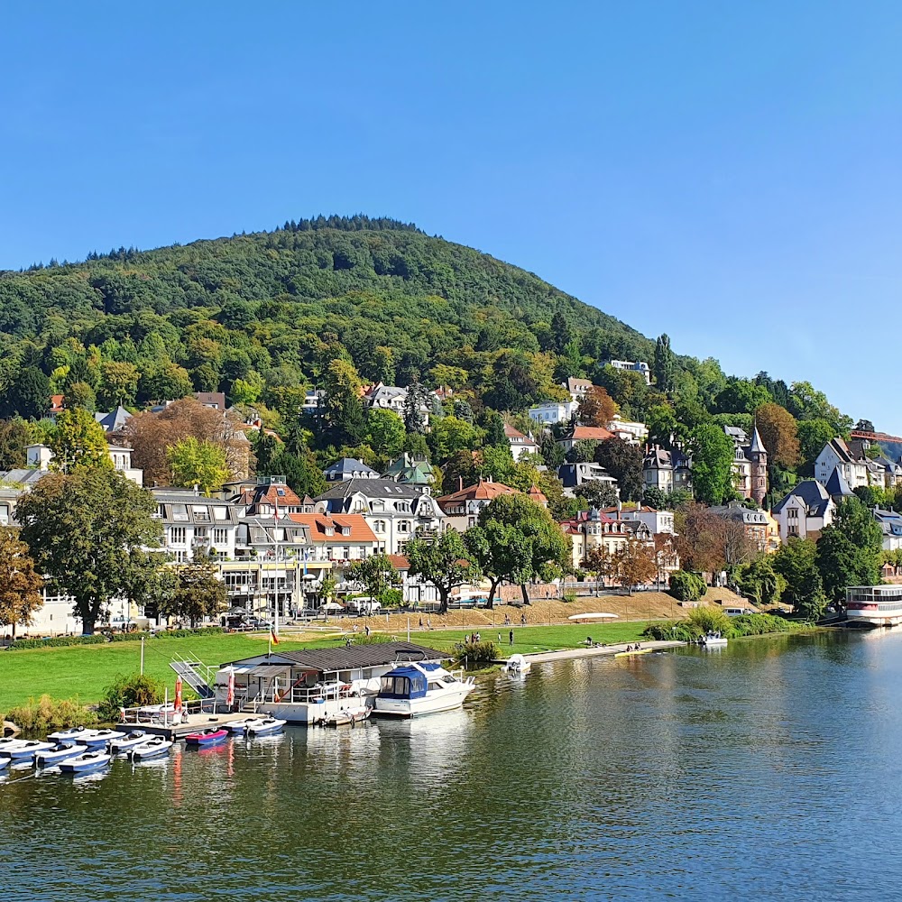 Neckarwiese photo 2