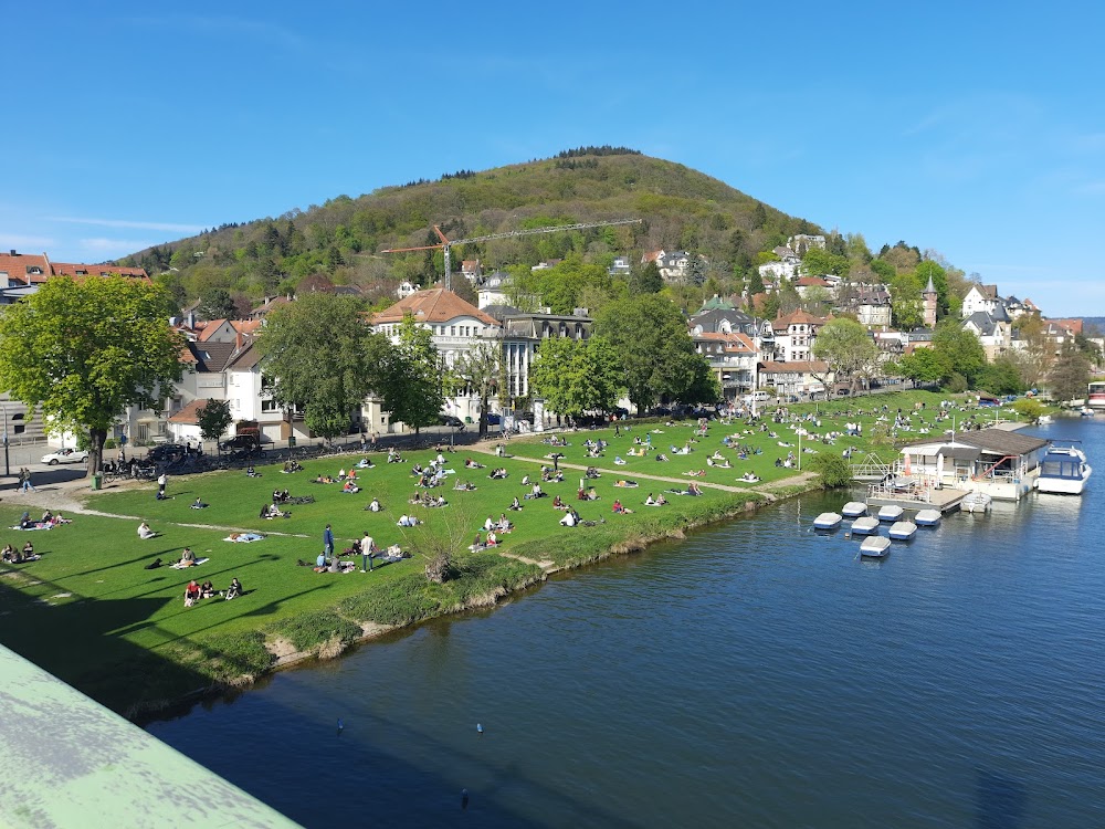 Neckarwiese photo 3