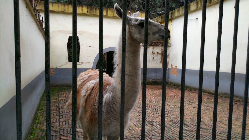 Hengyang Zoo