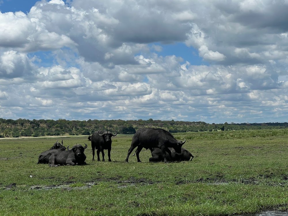 Zambezi River Rafting photo 3