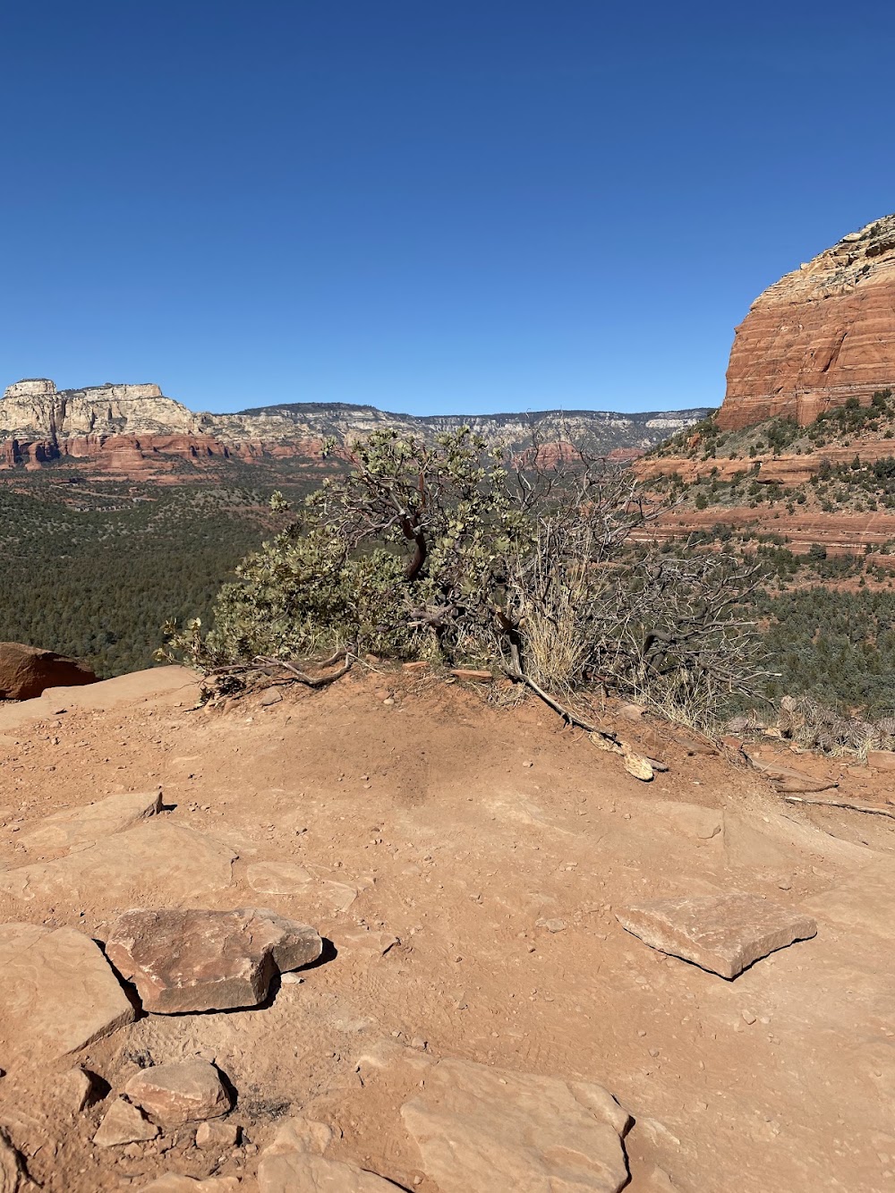 Devil's Bridge photo 3