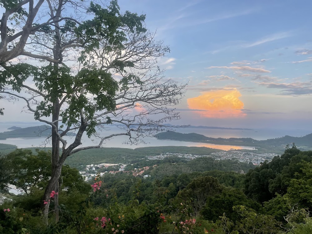 Monkey Hill photo 3