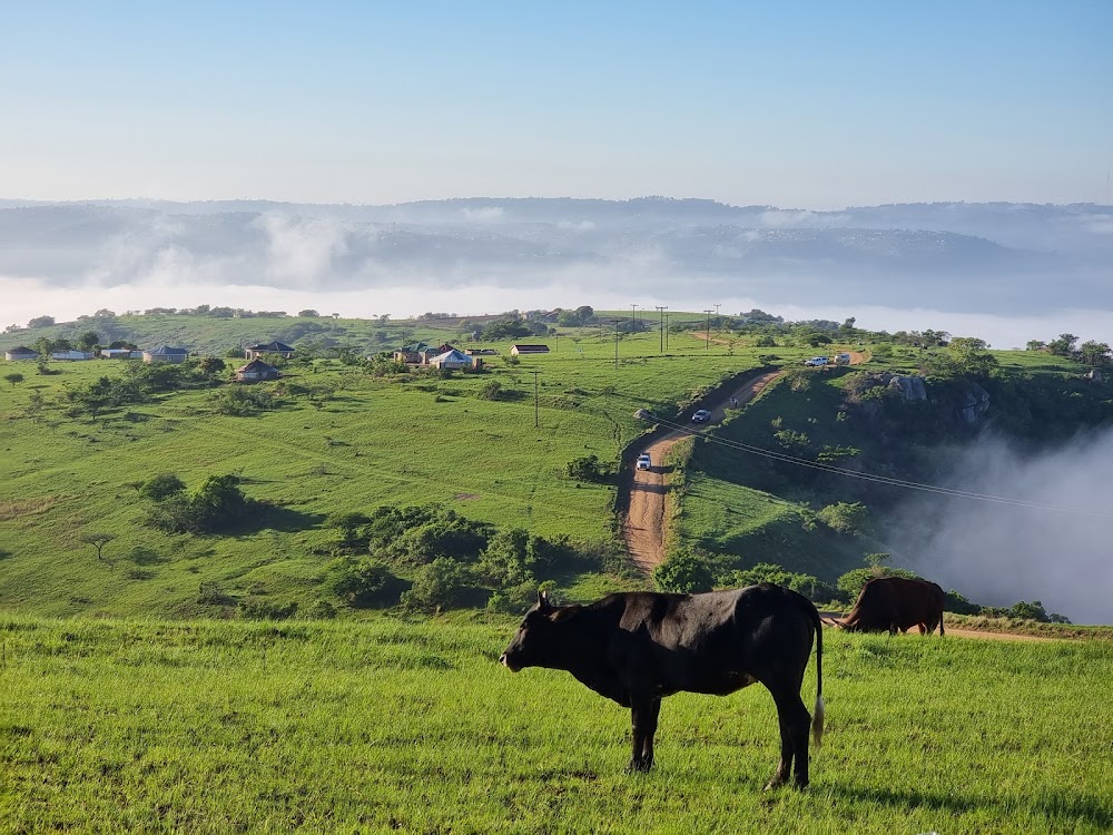 Valley of a Thousand Hills photo 2