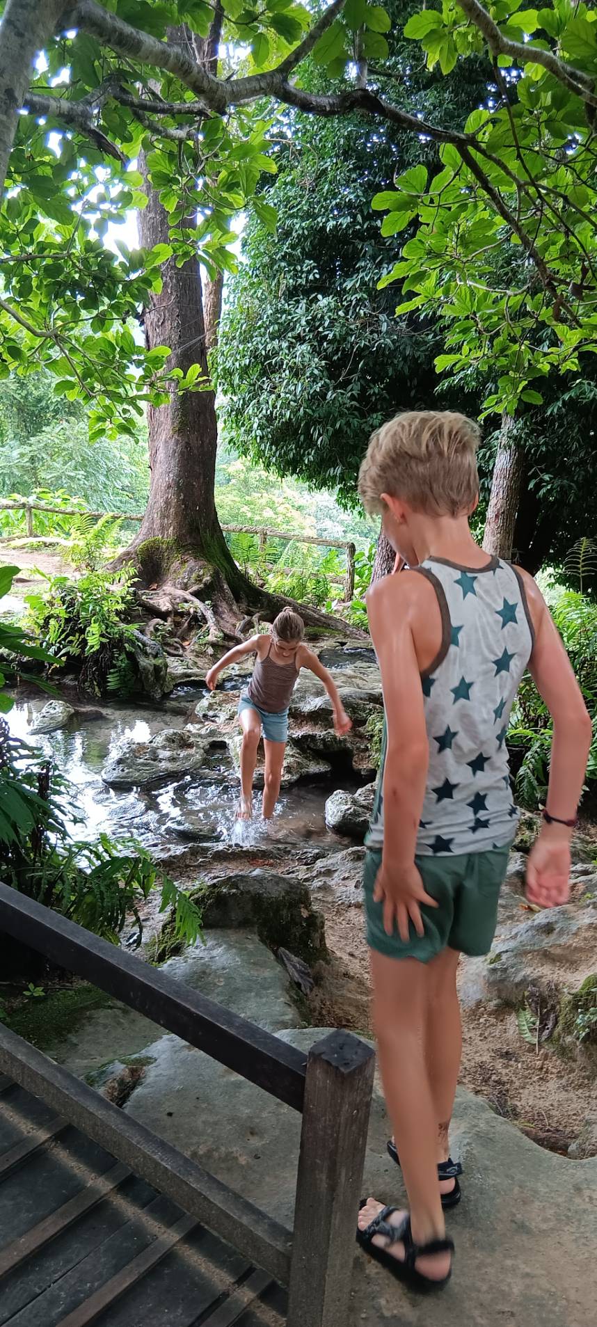 Bua Thong Sticky Waterfall photo 3