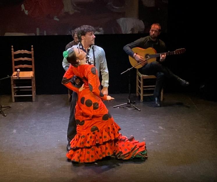 Flamenco shows in Triana or Santa Cruz