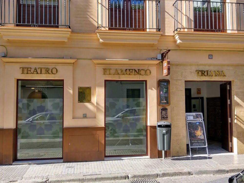 Flamenco shows in Triana or Santa Cruz photo 2