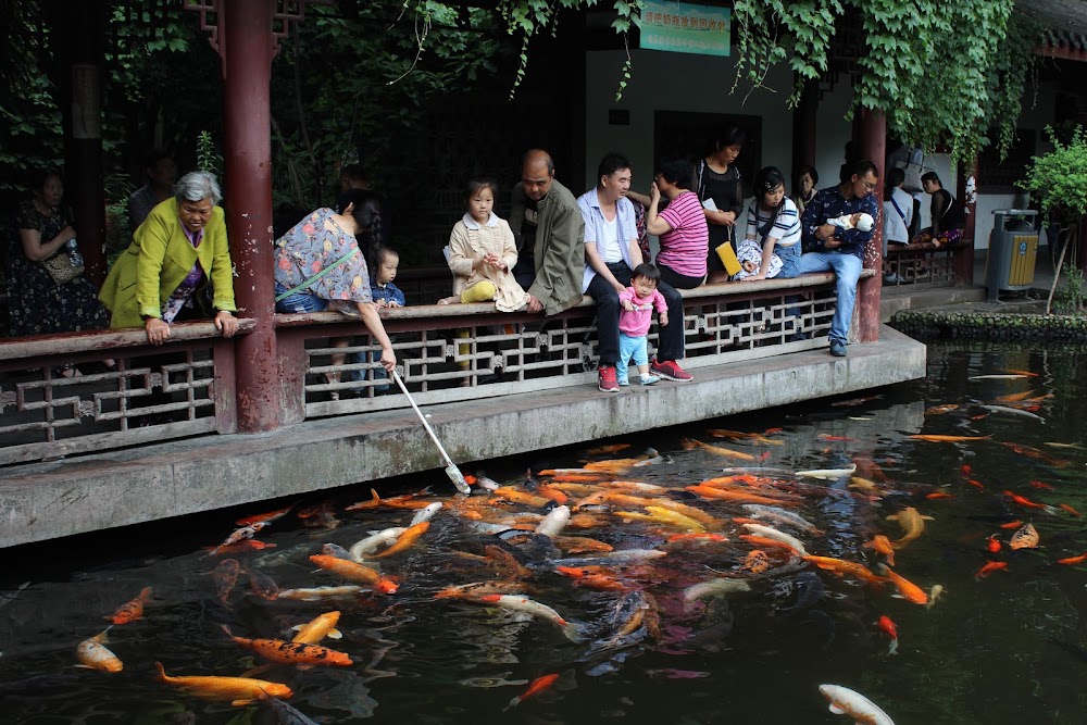 Chengdu People's Park photo 3