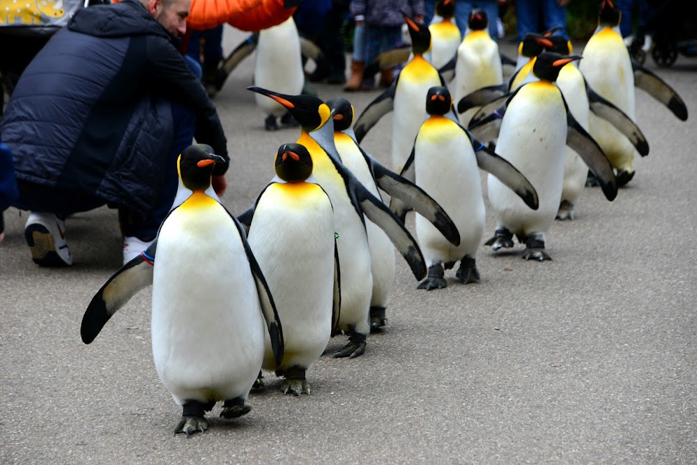 Basel Zoo