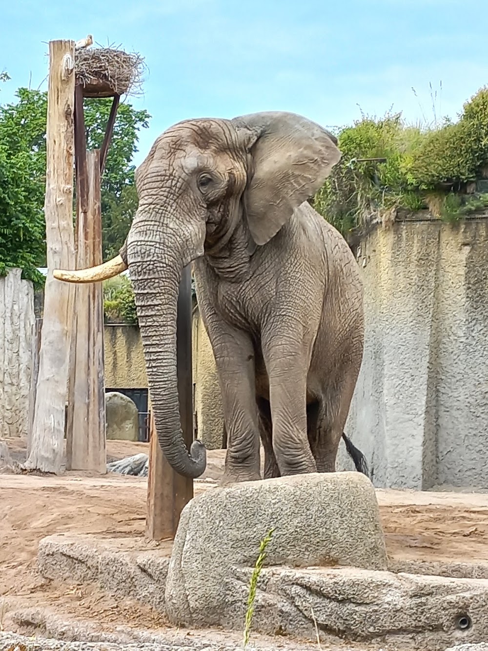 Basel Zoo photo 3