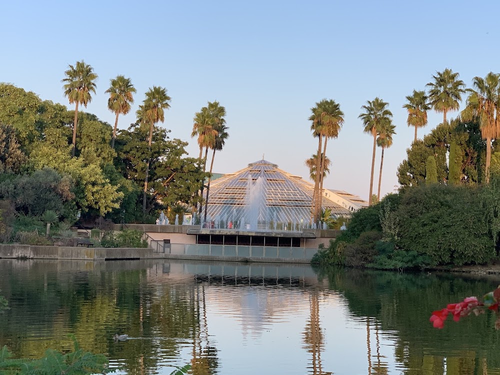 Parc Phoenix photo 2