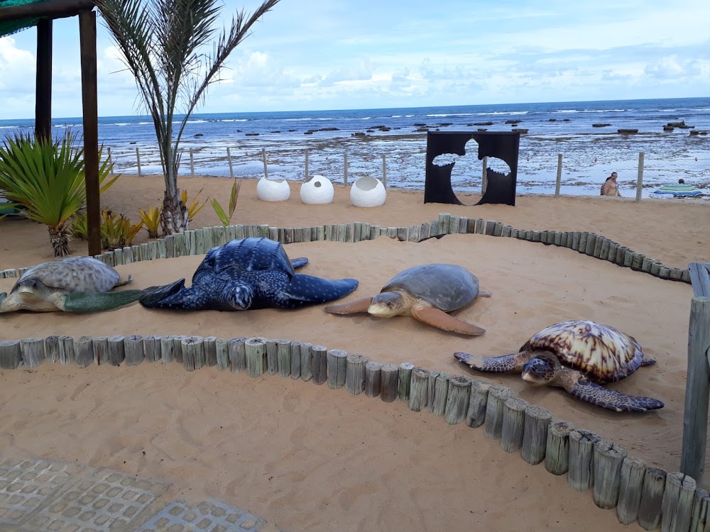 Praia do Forte photo 3