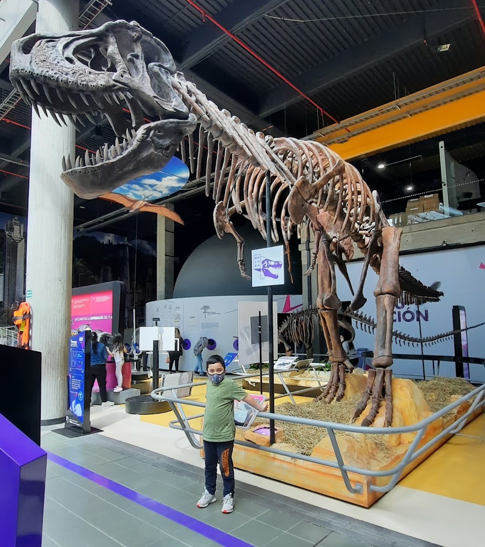 Maloka Interactive Museum photo 3
