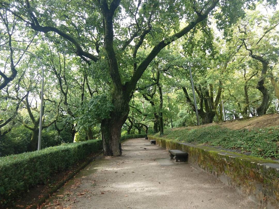 Parque da Alameda photo 3