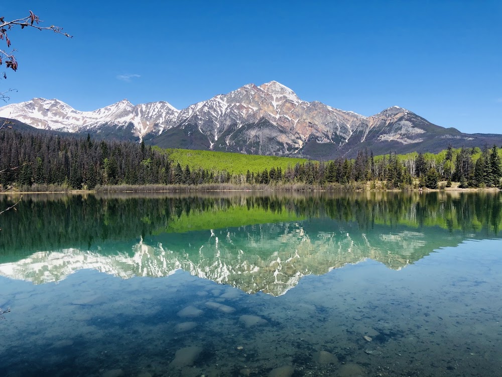 Patricia Lake
