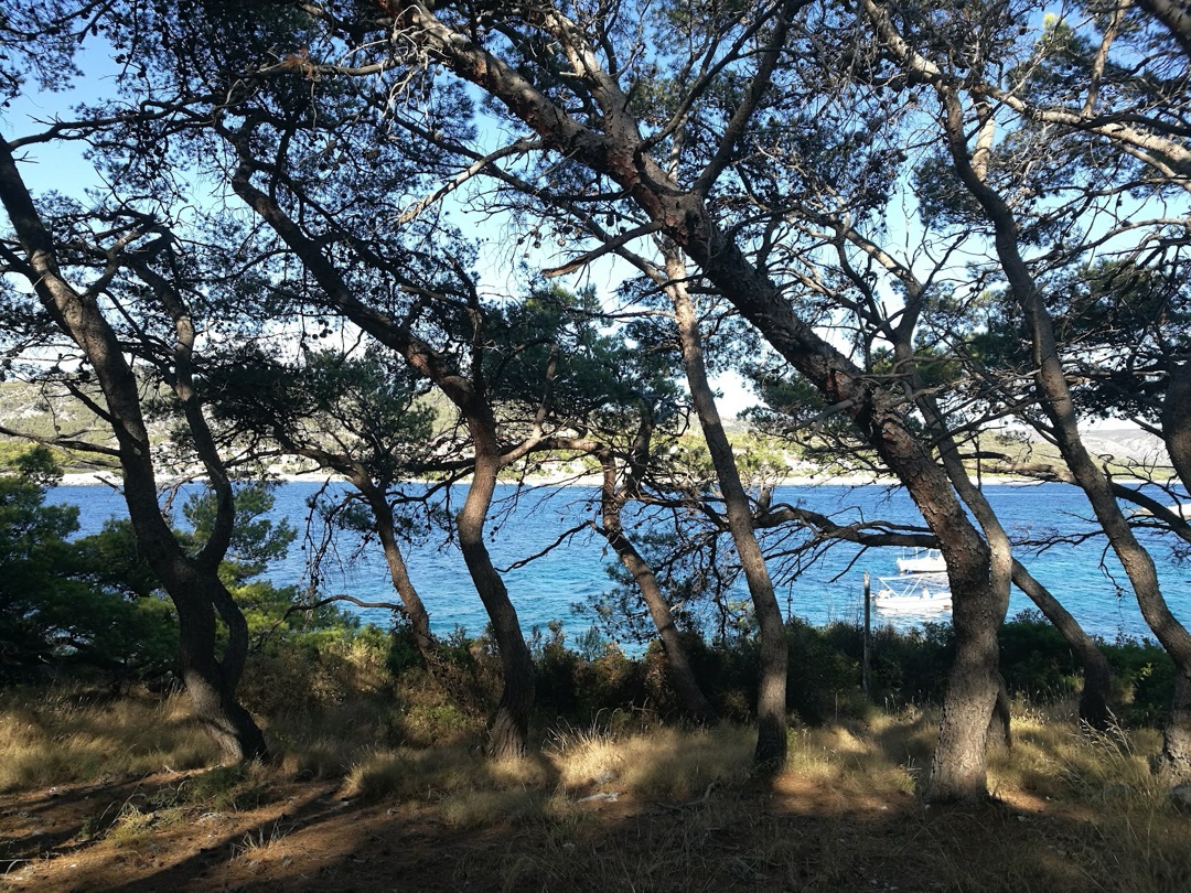 Jerolim Island photo 3