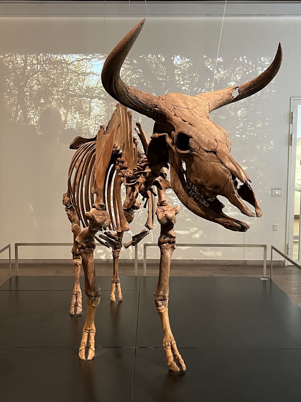 National Museum of Denmark photo 3