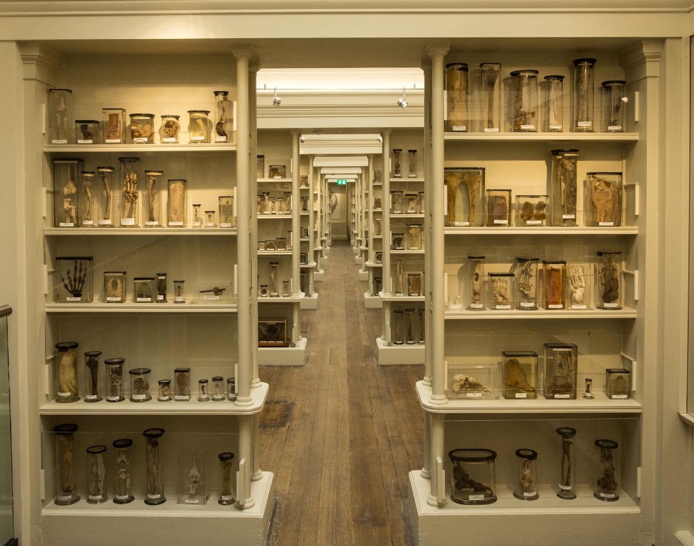 Surgeons' Hall Museums photo 3