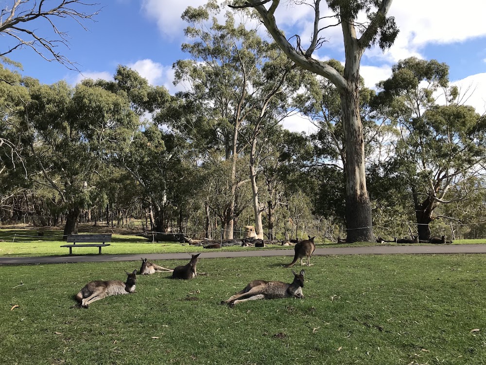 Cleland Conservation Park