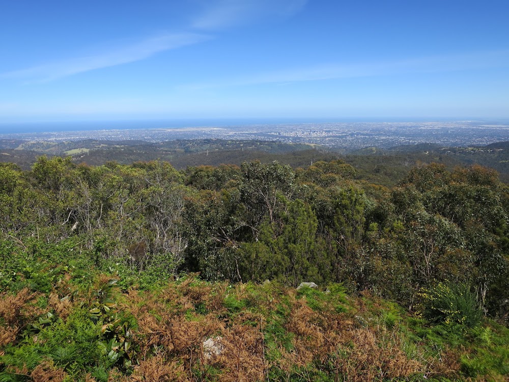 Cleland Conservation Park photo 2