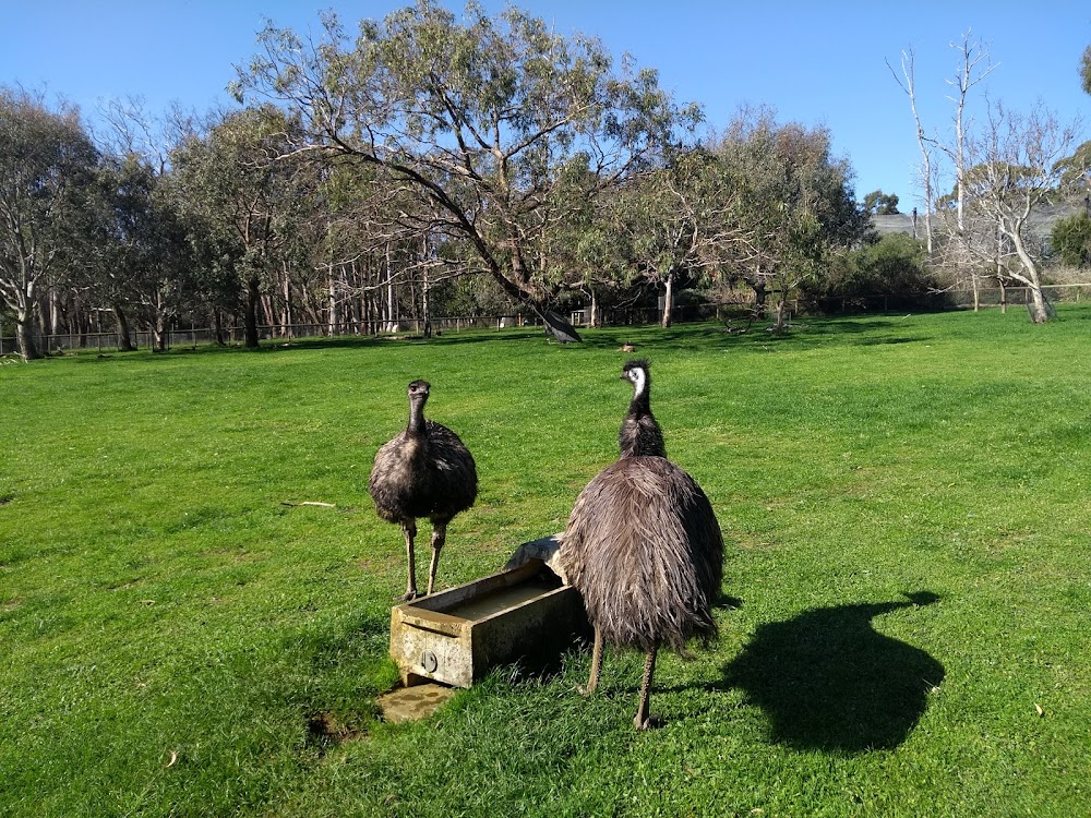 Cleland Conservation Park photo 3