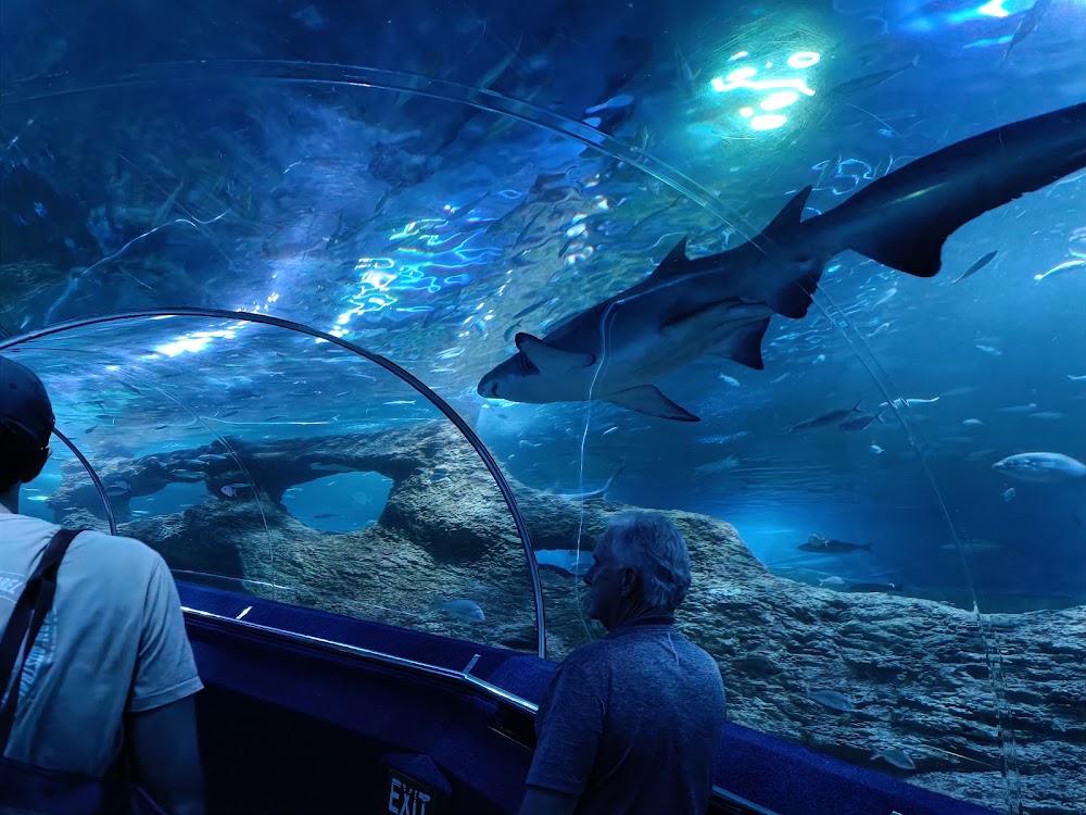 AQWA The Aquarium Of Western Australia photo 3