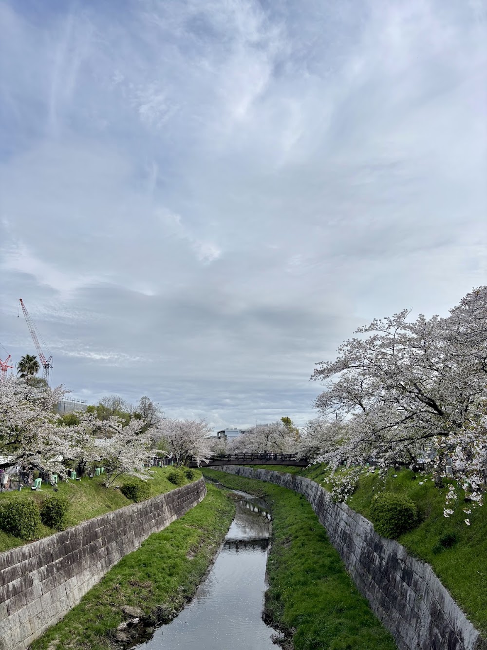 Yamazaki River