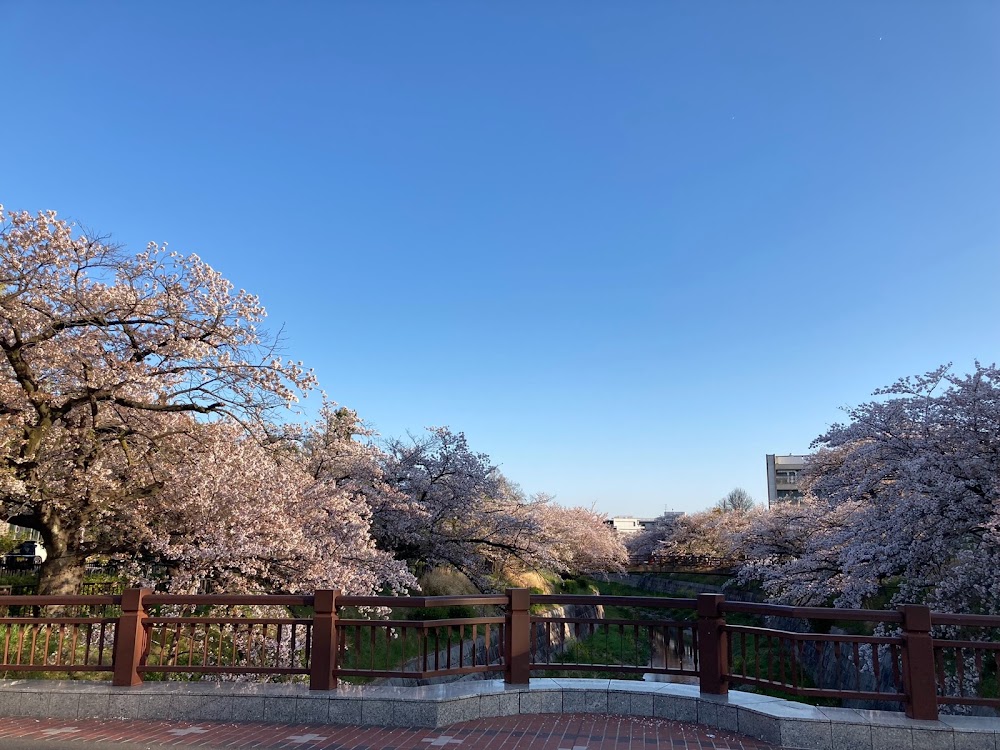 Yamazaki River photo 2