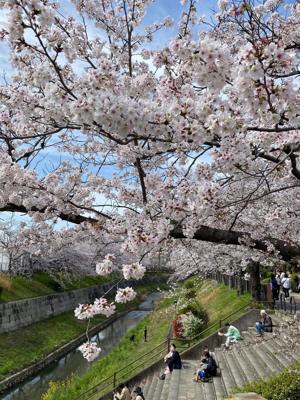 Yamazaki River photo 3