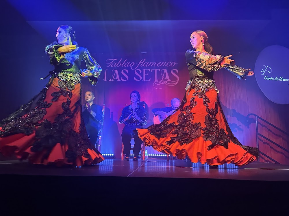 Flamenco Shows photo 2