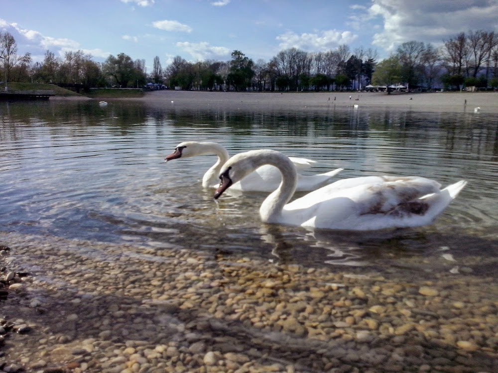 Bundek Lake photo 2