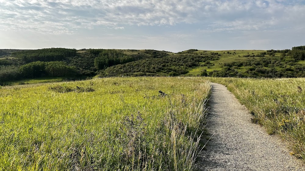 Nose Hill Park photo 2