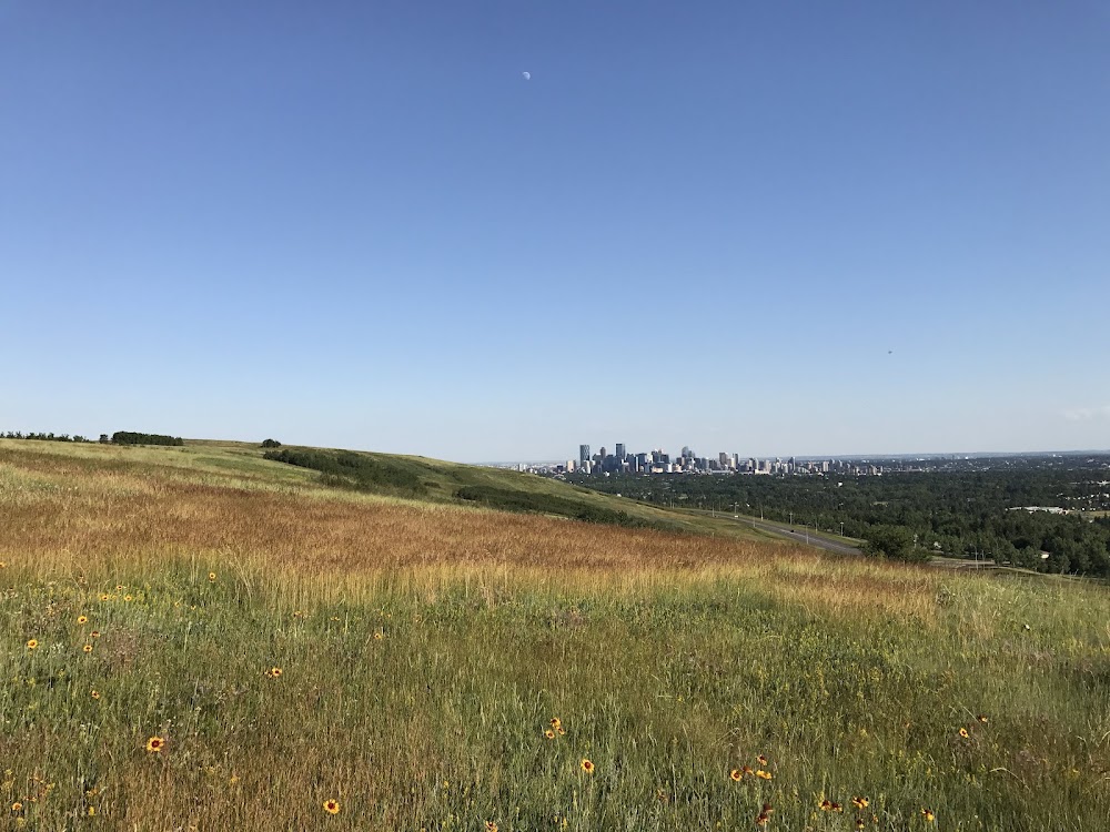 Nose Hill Park photo 3