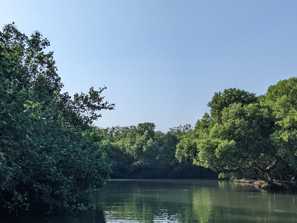 Sicao Mangrove Green Tunnel photo 3