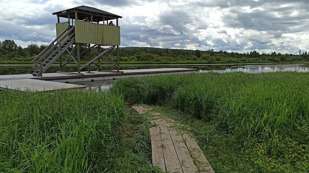 Koivusaari Nature Trail photo 2