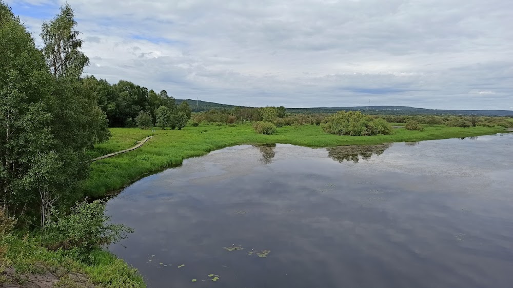 Koivusaari Nature Trail photo 3
