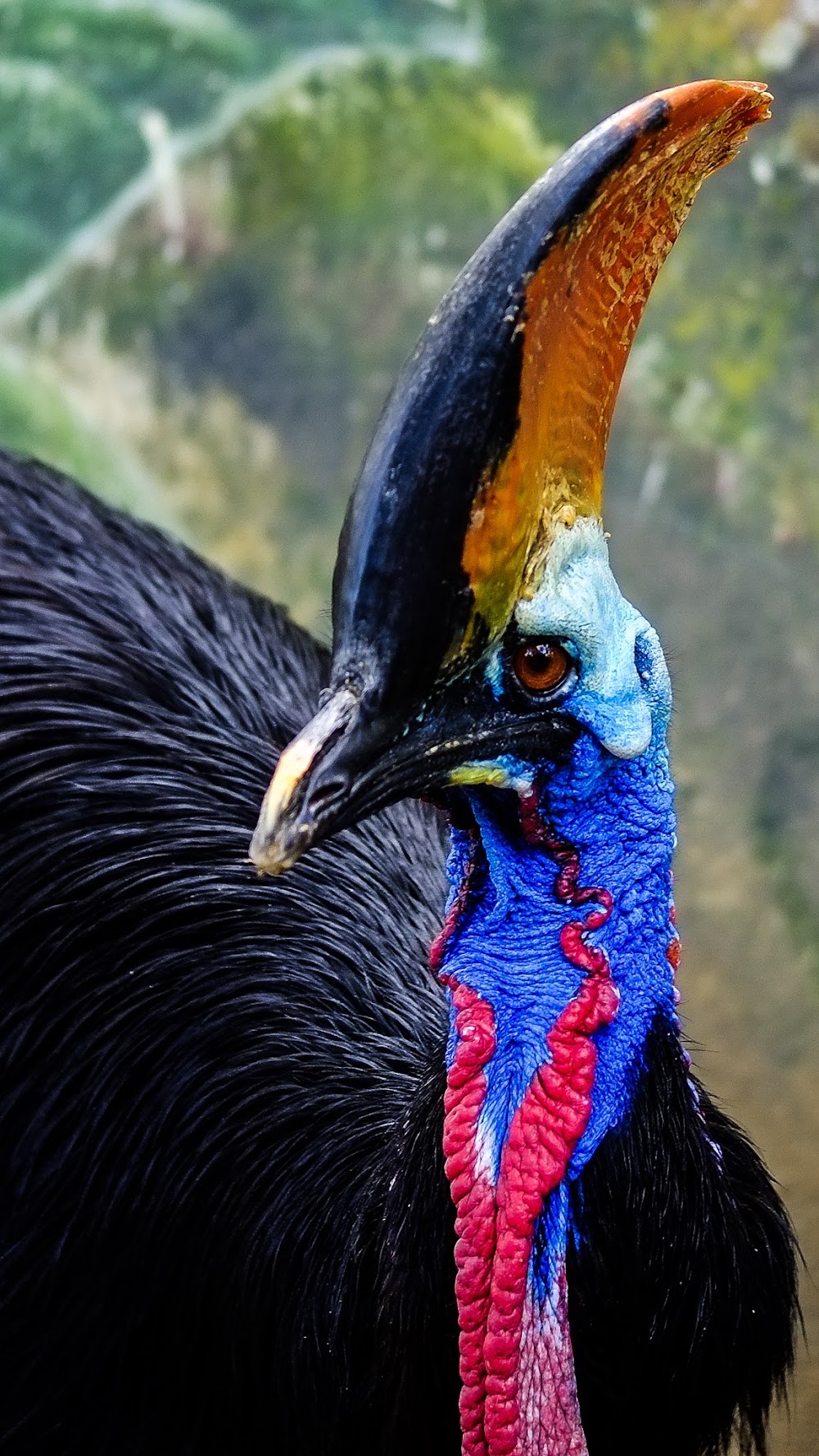 Manila Zoo photo 3
