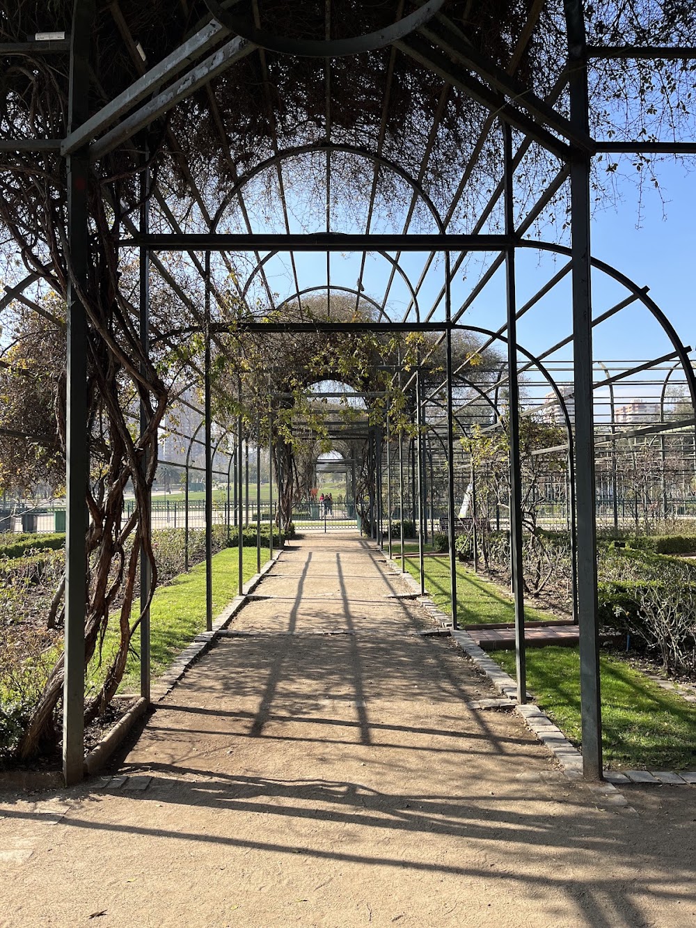 Parque Araucano photo 3