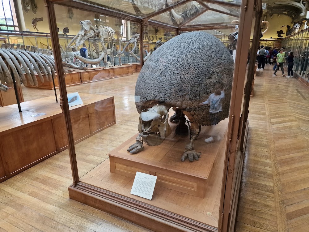 Muséum National d’Histoire Naturelle photo 3