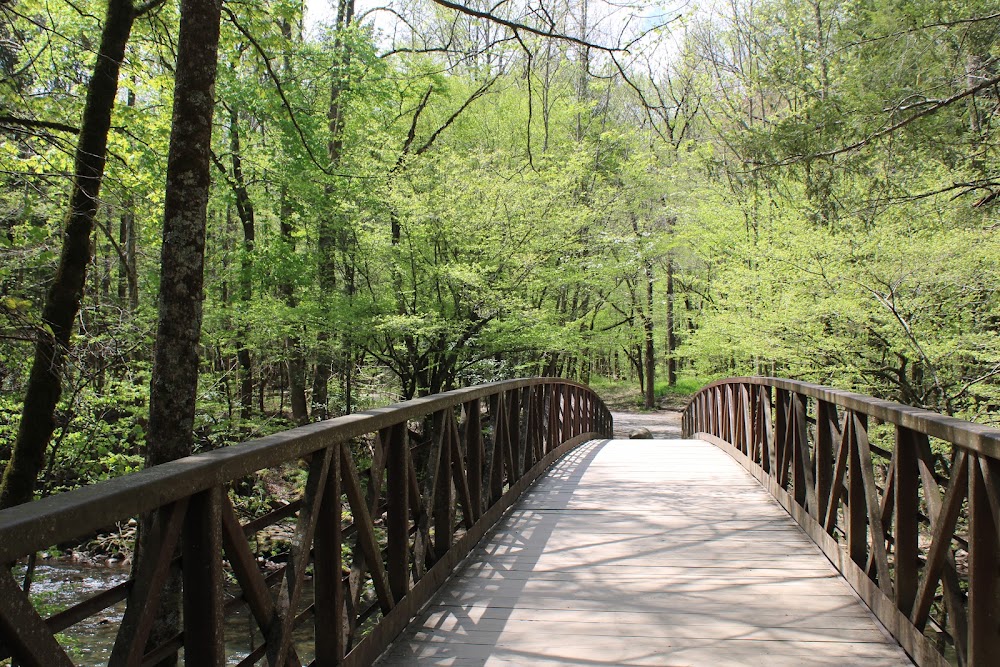 Gatlinburg Trail photo 2